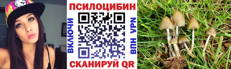 Псилоцибиновые грибы мицелий  Чердынь 